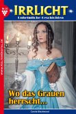 Irrlicht 31 - Mystikroman (eBook, ePUB)