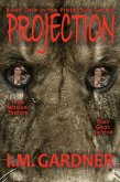 Projection (eBook, ePUB)
