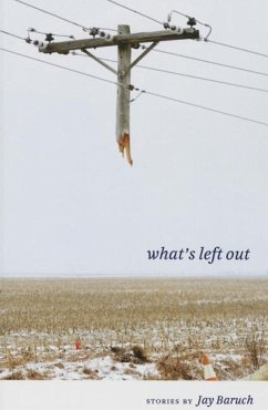 What's Left Out - Baruch, Jay