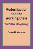 Modernization and the Working Class