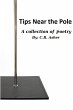 Tips Near The Pole - Bild 1