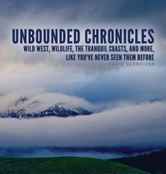 Unbounded Chronicles (Hardcover) - Schneider, David
