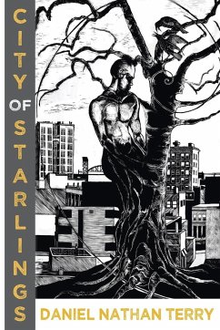 Cover City of Starlings