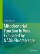 Mitochondrial Function In Vivo... - Bild 1