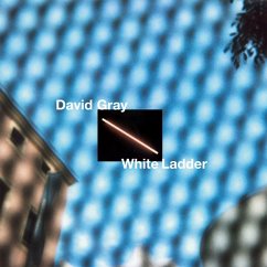 White Ladder - Gray,David