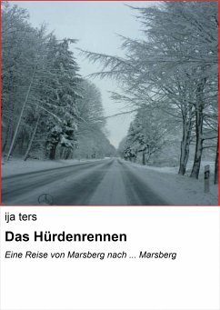 Das Hürdenrennen (eBook, ePUB) - ters, ija