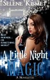 A Little Night Magic (eBook, ePUB) A Little Night Magic (eBook, ePUB)
