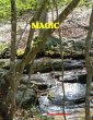 Magic (eBook, ePUB) - Bild 1