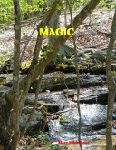 Magic (eBook, ePUB) Magic (eBook, ePUB)