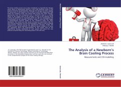 Cover The Analysis of a Newborn's Brain Cooling Process