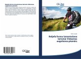Reljefa formu izmanto¿ana t¿rism¿: Vidzemes augstienes piem¿rs Reljefa formu izmanto¿ana t¿rism¿: Vidzemes augstienes piem¿rs