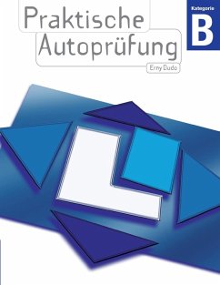 Praktische Autoprüfung (eBook, ePUB) - Erny, Dudo