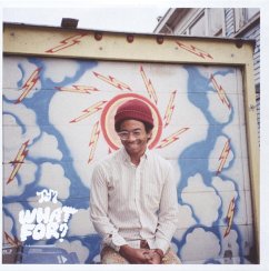 What For? - Toro Y Moi