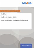 Callcenter in der Kritik (eBook, ePUB)