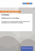 Kollaboratives Controlling (eBook, ePUB)