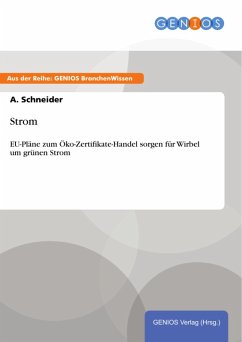 Cover Strom (eBook, ePUB)