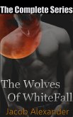 The Wolves Of WhiteFall: The Complete Series (eBook, ePUB) The Wolves Of WhiteFall: The Complete Series (eBook, ePUB)