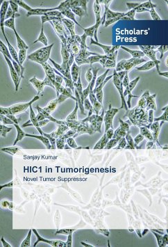 HIC1 in Tumorigenesis - KUMAR, SANJAY