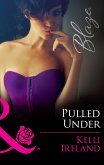 Pulled Under (eBook, ePUB)