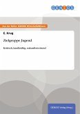 Zielgruppe Jugend (eBook, ePUB)