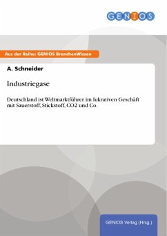 Industriegase (eBook, PDF) - Schneider, A.