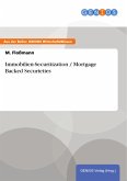 Immobilien-Securitization / Mortgage Backed Securieties (eBook, ePUB)