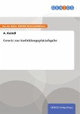 Gesetz zur Ausbildungsplatzabgabe (eBook, ePUB)