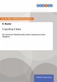 Copyshop China (eBook, ePUB)