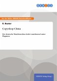 Copyshop China (eBook, PDF)
