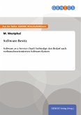 Software-Besitz (eBook, ePUB)