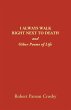 I ALWAYS WALK RIGHT NEXT TO DEATH - Bild 1