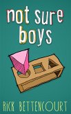 Not Sure Boys (eBook, ePUB) Not Sure Boys (eBook, ePUB)