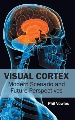 Cover Visual Cortex