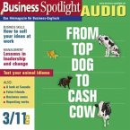 Business-Englisch lernen Audio - Ideen verkaufen (MP3-Download)