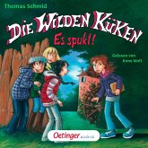 Es spukt! / Die Wilden Küken Bd.4 (MP3-Download)