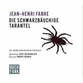 Die schwarzbäuchige Tarantel (MP3-Download)
