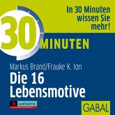 30 Minuten Die 16 Lebensmotive (MP3-Download)