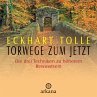 Torwege zum Jetzt (MP3-Download) - Bild 1