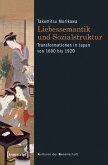 Liebessemantik und Sozialstruktur (eBook, PDF)