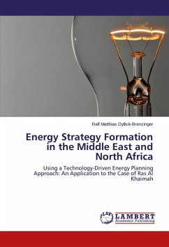 Energy Strategy Formation in the Middle East and North Africa