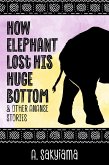 How Elephant Lost His Huge Bottom and Other Ananse Stories (African Fireside Classics, #5) (eBook, ePUB)