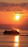 Die Liebe trifft das Leben (eBook, ePUB)