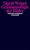 Grammatologie der Bilder (eBook, ePUB)