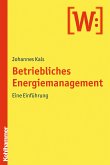 Betriebliches Energiemanagement (eBook, PDF)