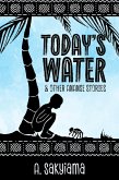 Today's Water and Other Ananse Stories (African Fireside Classics, #1) (eBook, ePUB) Today's Water and Other Ananse Stories (African Fireside Classics, #1) (eBook, ePUB)