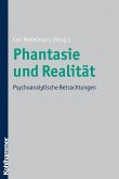Phantasie und Realität (eBook, PDF)