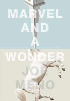 Marvel and a Wonder - Meno, Joe