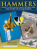 Hammers: Israel's Long-Range Heavy Bomber Arm: The Story of 69 Squadron