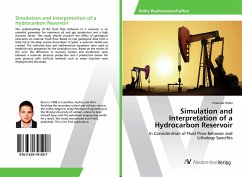 Simulation and Interpretation of a Hydrocarbon Reservoir