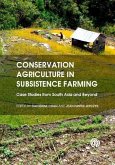 Conservation Agriculture in Subsistence Farming: Case Studies from South Asia and Beyond